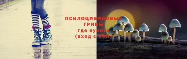 твердый Богородицк